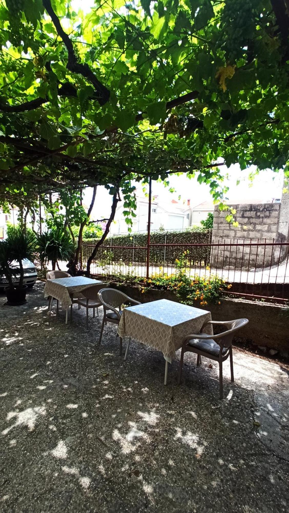 Rade Z Daire Budva